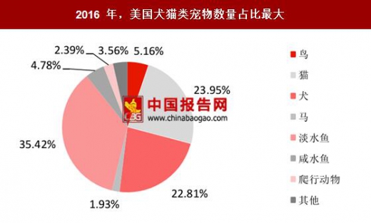 宠物市场现状深度剖析