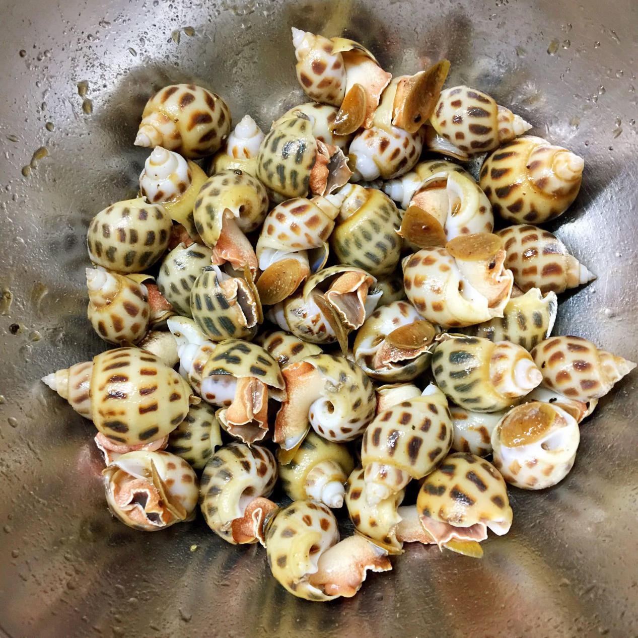 苦螺烹饪指南，美味与健康并存的制作艺术