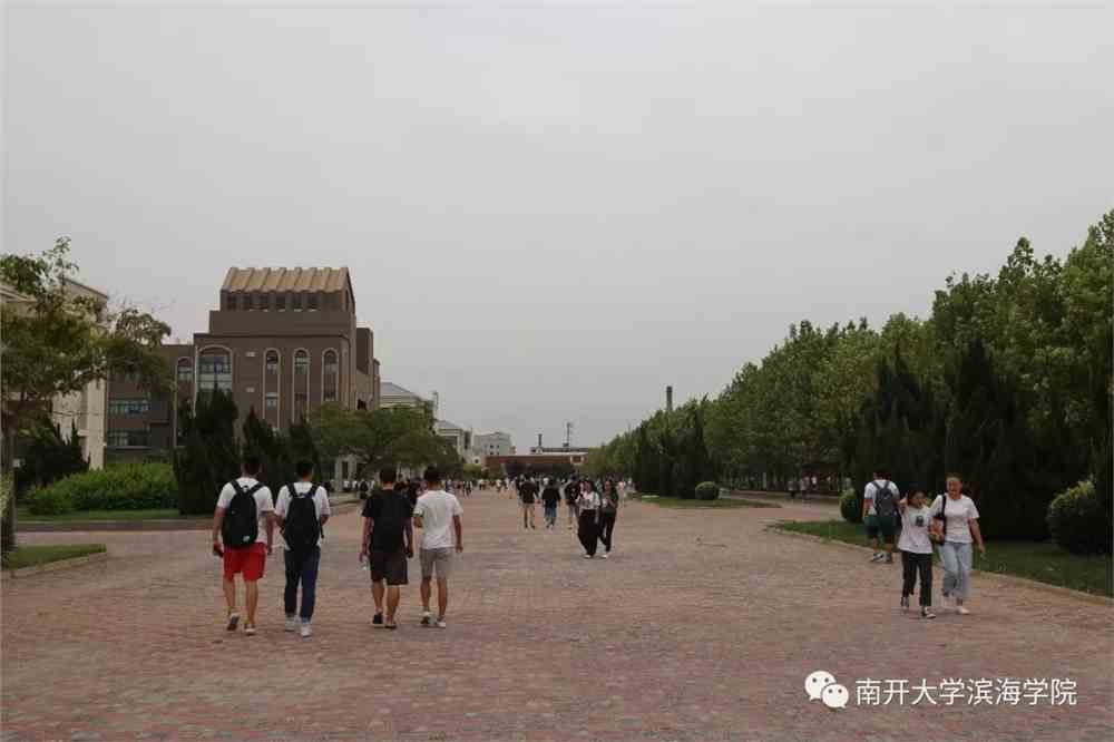 南开大学滨海学院专业深度解读