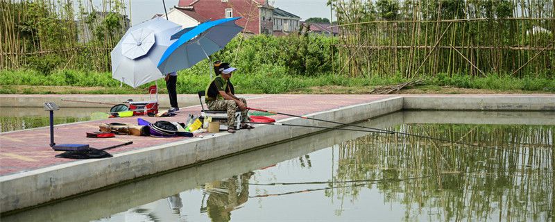 野塘钓鱼，最适宜鱼竿的选择攻略