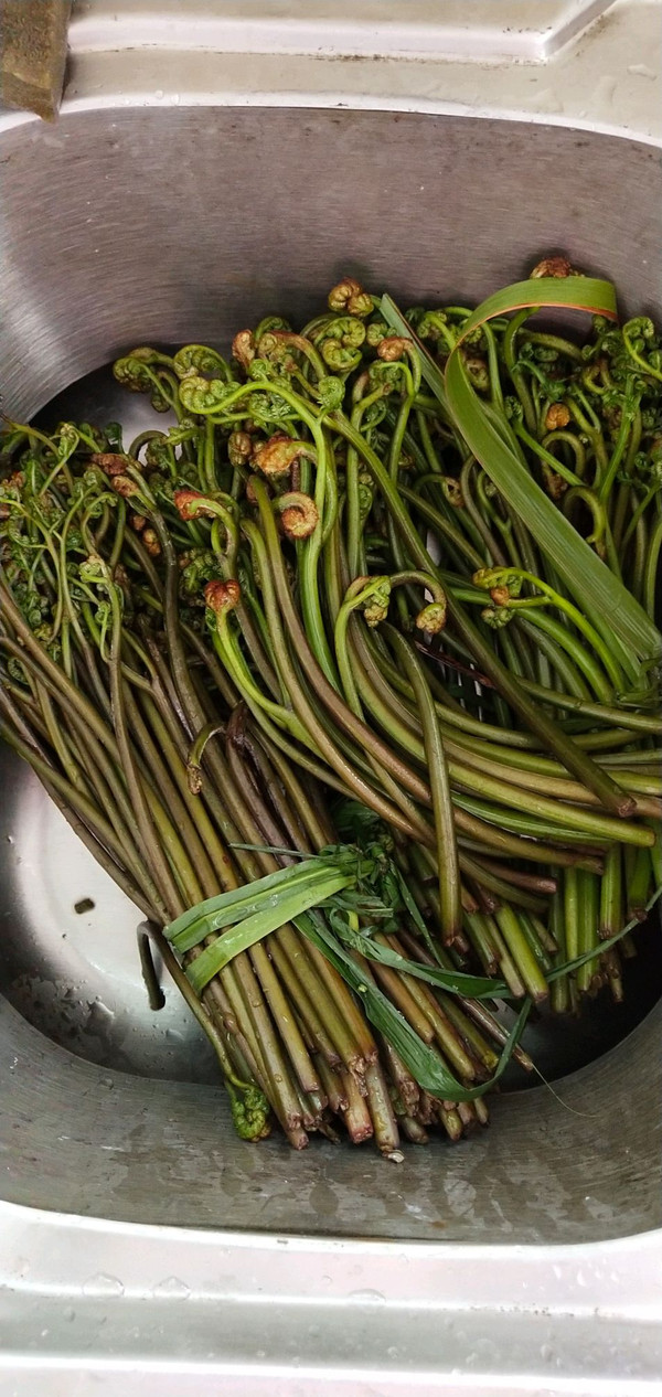 咸蕨菜做法大全，传统美味，家常必备食谱