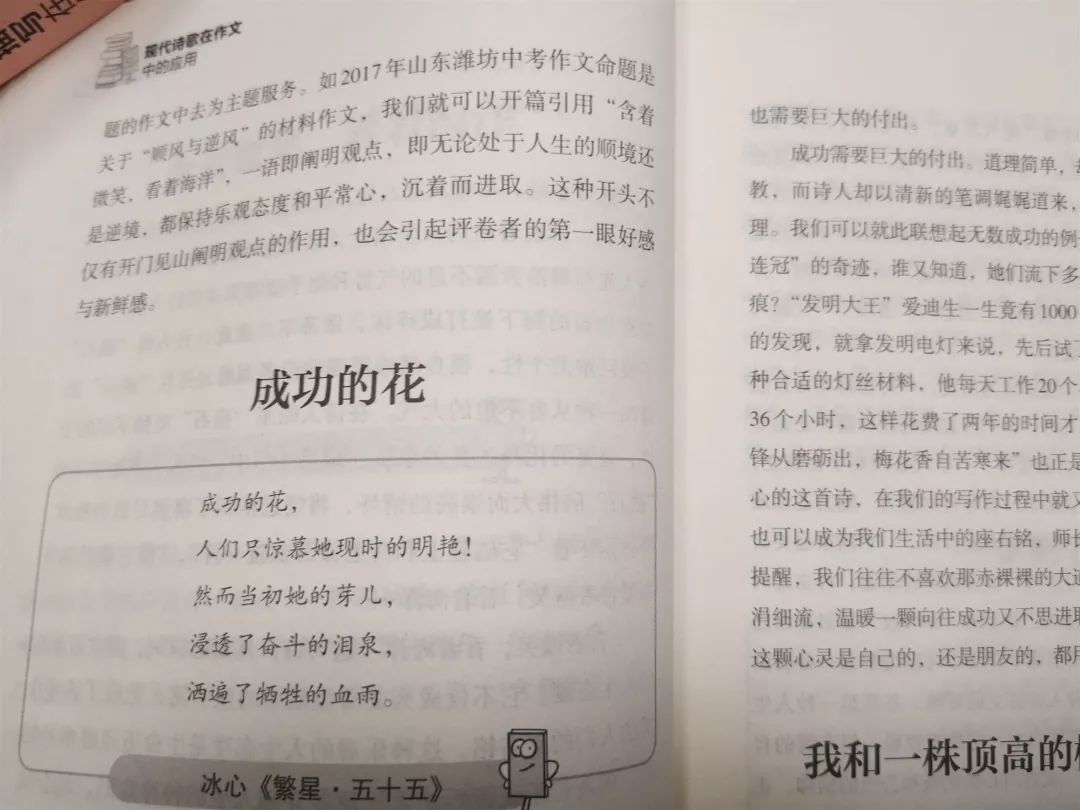 名人与他们的作文世界，深度探索作文背后的故事