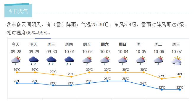 2024年12月22日 第23页