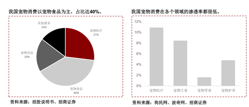 宠物，家庭财富与幸福的融合新定义