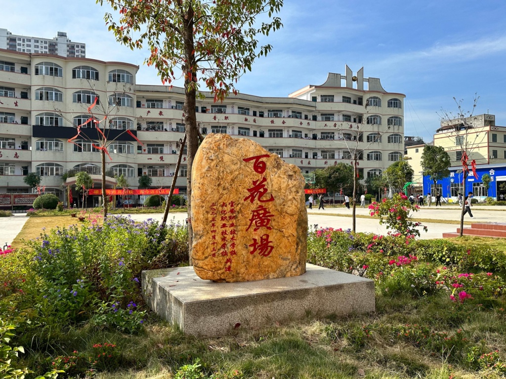 广东深圳芳菲，现代化都市的诗意活力画卷