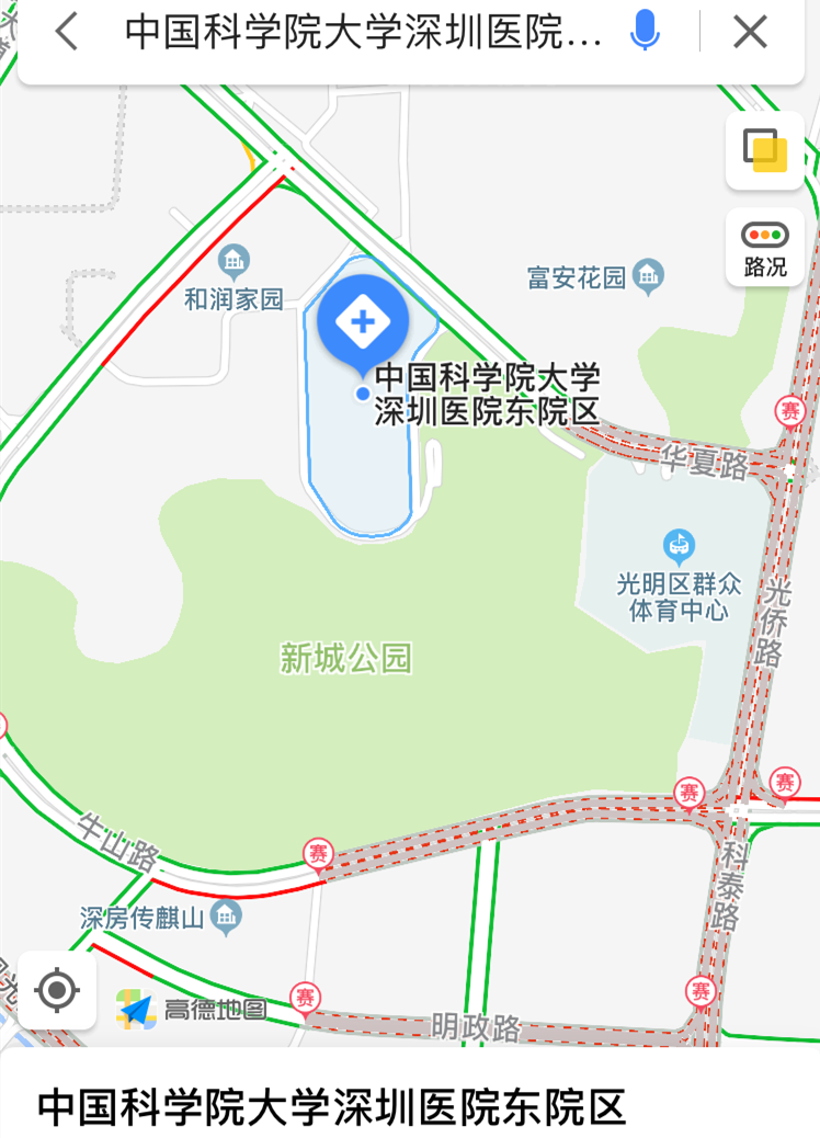 广东深圳市交通管制，城市流动秩序的精准调控策略