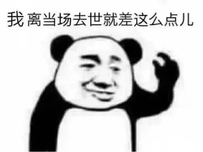 豹子衣服图片，时尚与野性的完美融合