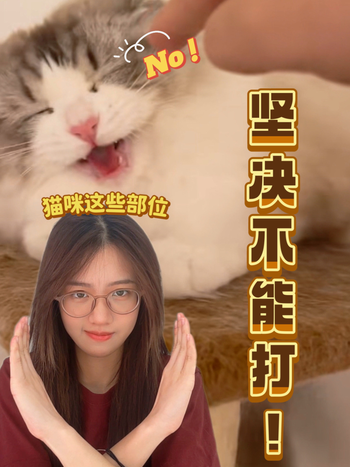 如何正确打猫咪及注意事项指南