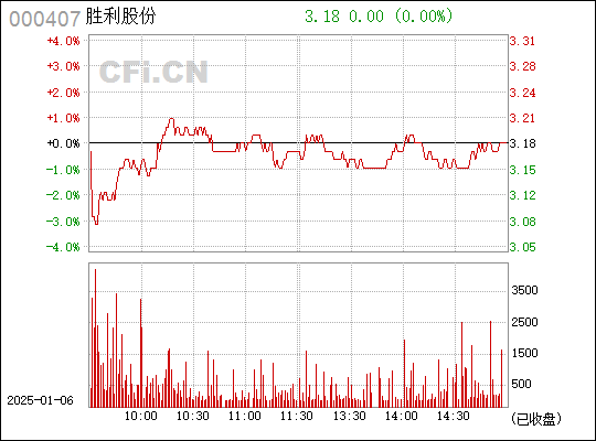 胜利股份股票最新消息全面解读与分析