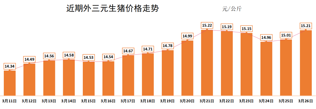 最新生猪价格走势分析报告