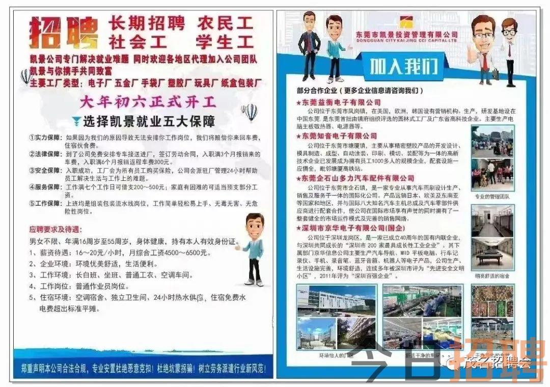 厦门市司机招聘启事，探索职业机遇，携手共创未来