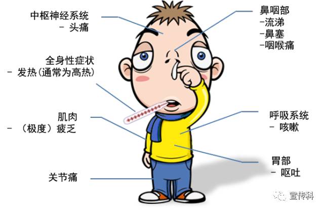 最新流感症状、影响及应对策略详解