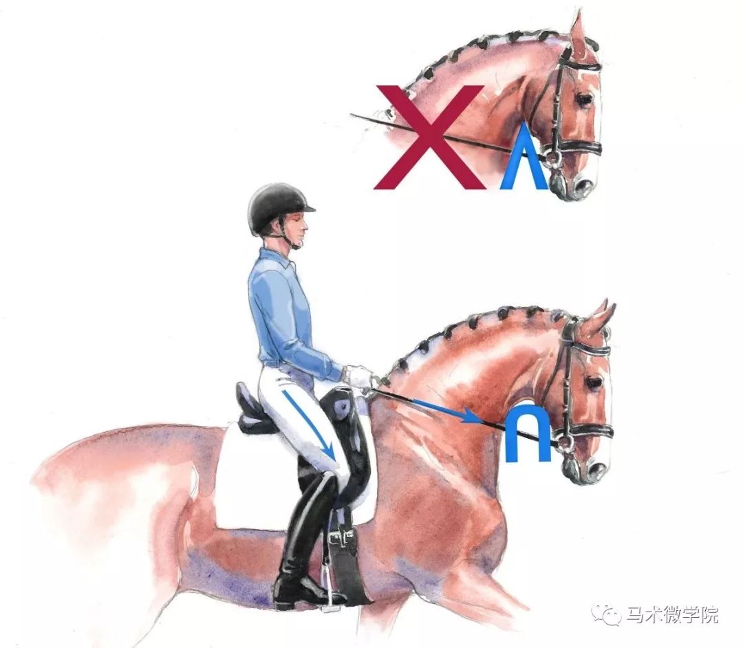 探索未来骑行新领域，最新骑乘位体验报告