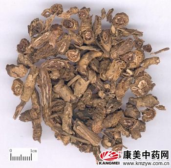 黄连最新价格行情解析